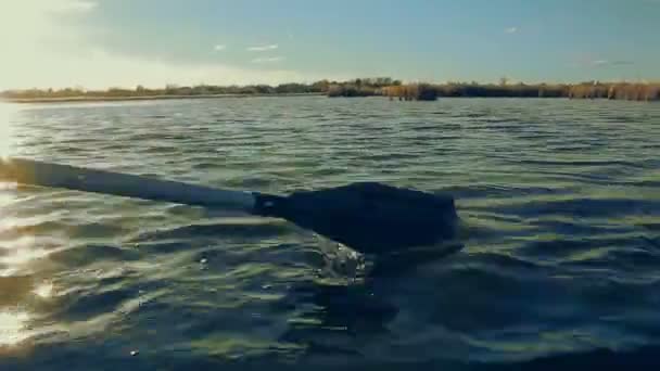 Paddling boat in water — Stock Video