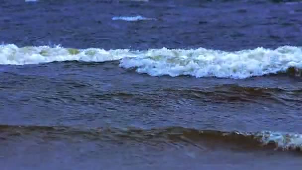 바다에 폭풍우 파도 — 비디오