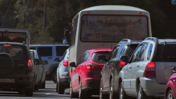 Tráfico de coches en carretera — Vídeo de stock