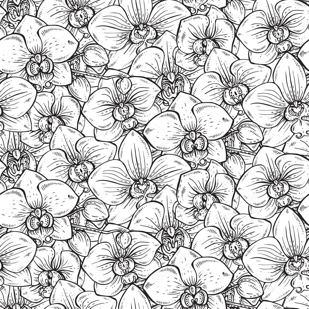 シームレスな花柄の手で描かれた蘭の花 ストックベクター C Natality