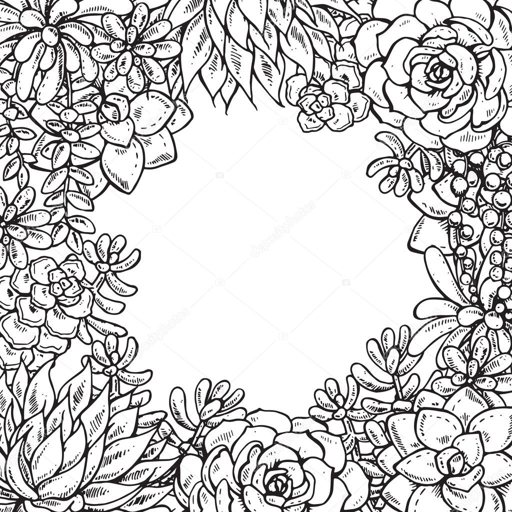 Hand Drawn Succulent Plants Vector Image By C Natality Vector Stock