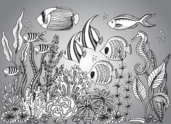 Vector monochrome hand drawn illustration with seashell Royalty Free Stock Vectors