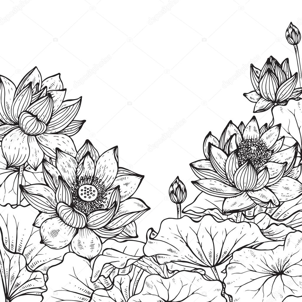 Beautiful Monochrome Vector Floral Frame With Lotus Stock Vector Image By C Natality