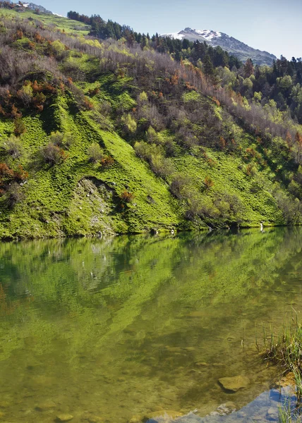 Şeffaf su Batı Kafkasya yedekte alabalık göl Teberdinsky — Stok fotoğraf