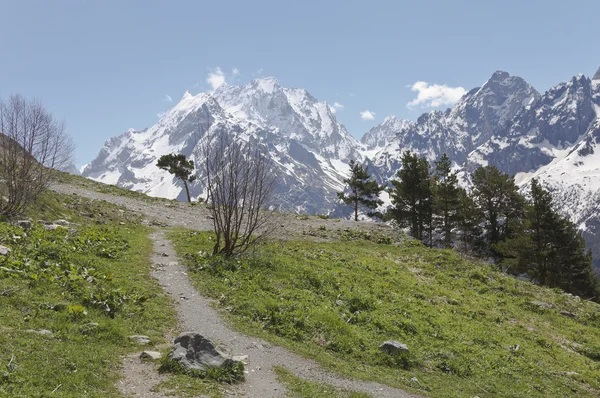 Jour du printemps dans les montagnes de Dombai.Le Caucase du Nord . — Photo