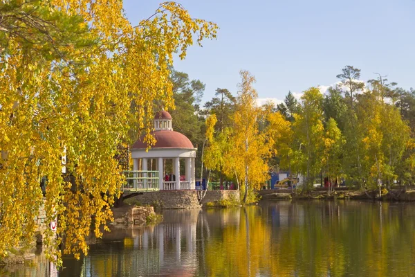 Outono dourado no Parque da cultura e resto.Vidoeiro em primeiro plano . — Fotografia de Stock