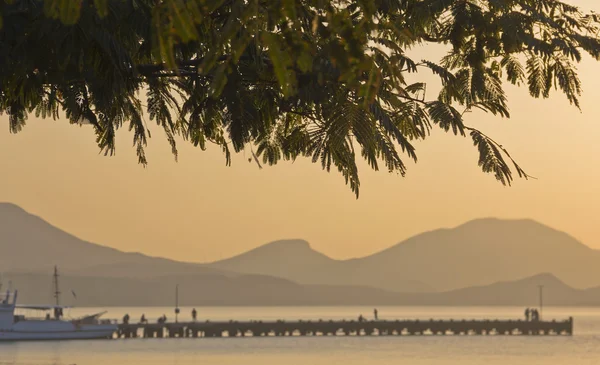 Siluetas de ramas de acacia, monte, muelle, barcos — Foto de Stock