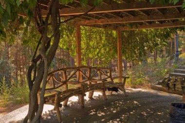 Park Ayvazovski gölgeli yazlık. Partenit.