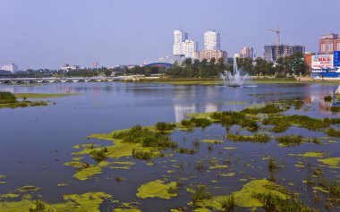 Chelyabinsk city Mias Nehri'nin çiçekli