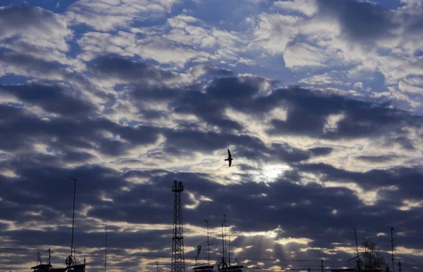 The evening sky in thunderclouds above the roofs — Stock Photo, Image