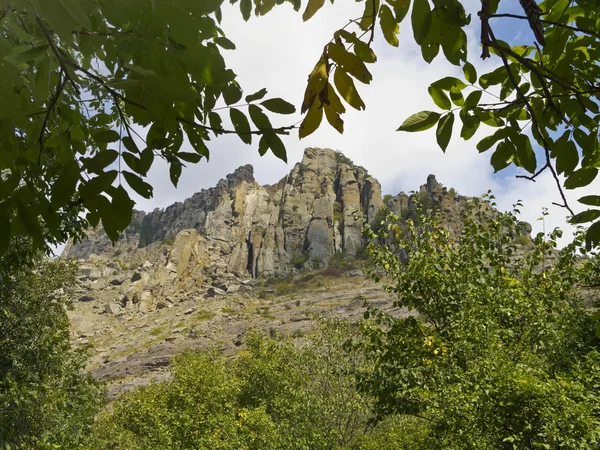 Vedute del monte Demerdzhi attraverso i rami degli alberi — Foto Stock