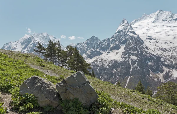 yeşil çim ve karla kaplı tepeler dombai