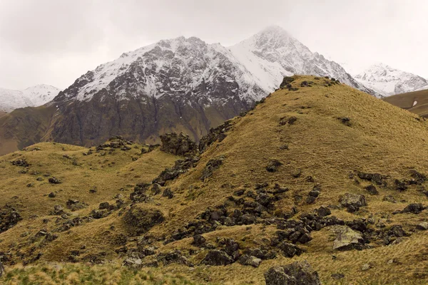 管 Dzhily Su.The Elbrus 地域でビロードのような丘 — ストック写真