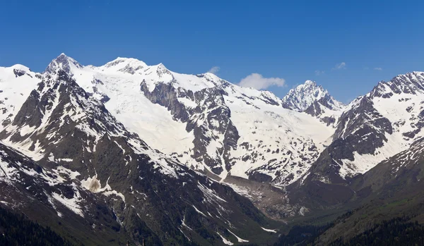Les sommets blancs des montagnes de Dombai.Le Caucase . — Photo