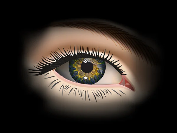 Primer plano de ojo femenino. Vector — Vector de stock