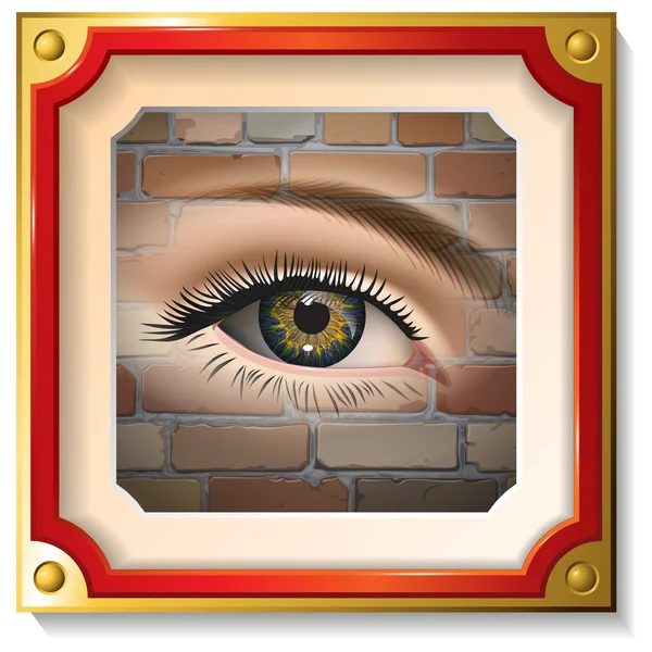 Occhio femminile primo piano nella cornice su un muro di mattoni. Vettore — Vettoriale Stock