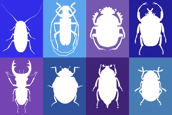 Шаблони жуків — стоковий вектор