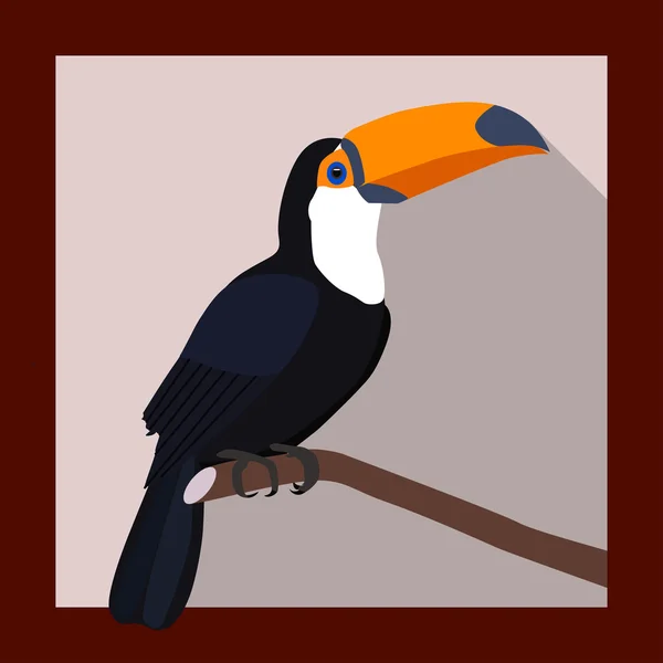 Toucan in Flat Style — стоковый вектор