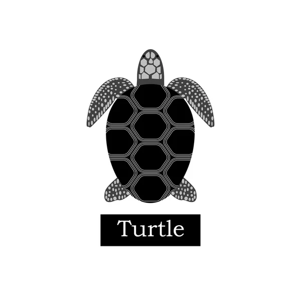 Tortuga en blanco y negro — Archivo Imágenes Vectoriales