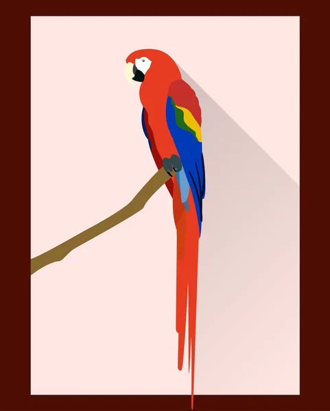 Papoušek v plochý — Stockový vektor