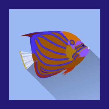 Düz stilde mercan angelfish