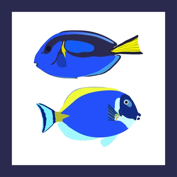 Deux poissons chirurgiens brillants — Image vectorielle