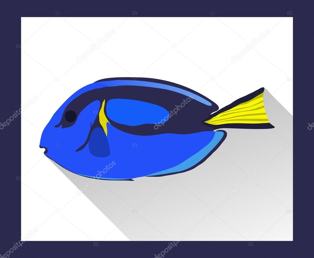 Bright surgeonfish in flat style