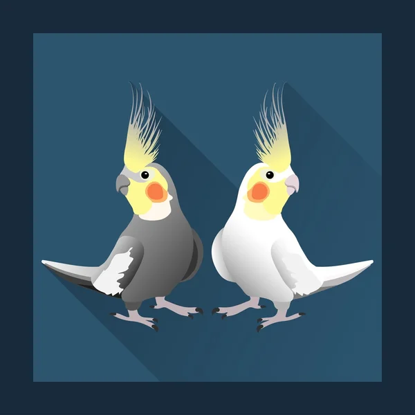 Παπαγάλοι Corella — Διανυσματικό Αρχείο