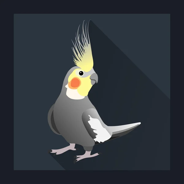 Kakadua papegoja — Stock vektor