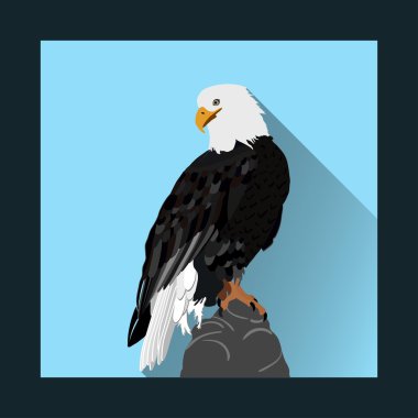 Amerikan kel kartal
