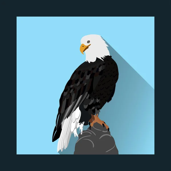 Американский белоголовый орёл — стоковый вектор