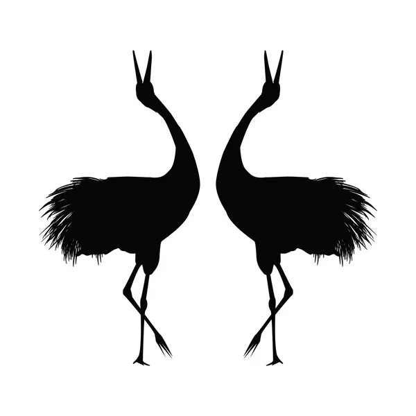 Japonés negro grúa aves — Vector de stock