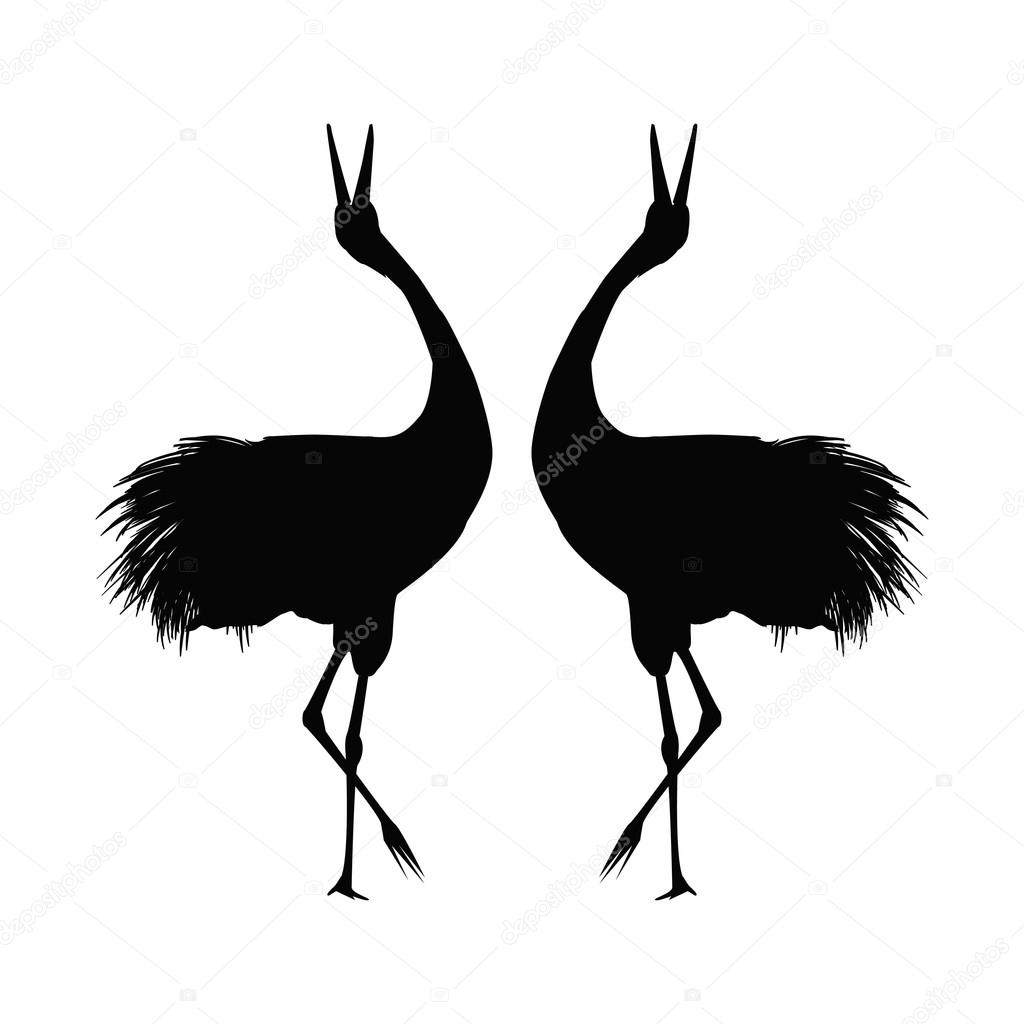 Japanese black crane birds