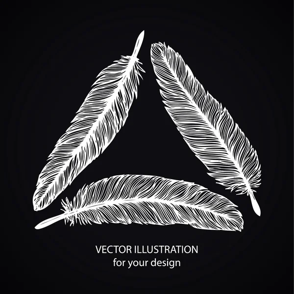 Hand drawn feathers — Stock Vector