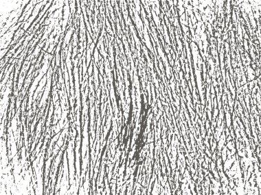 Grunge beyaz ve siyah arkaplan, doku.