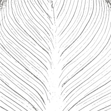 Grunge beyaz ve siyah arkaplan, doku.