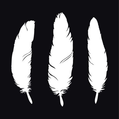 El yapımı tüyler.