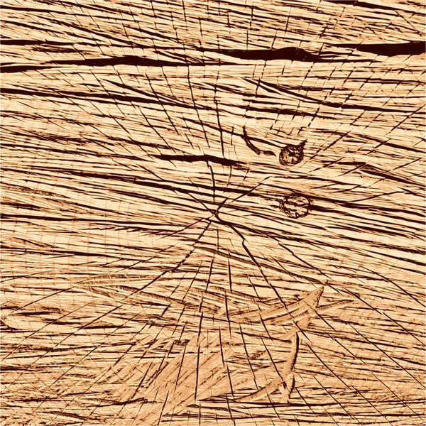 Illustrazione vettoriale della sezione trasversale dell'albero. Struttura marrone legno  . — Vettoriale Stock