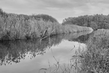 Gulaine Marsh Kanalları. Bunlar bir zamanlar kireç fırınına güç vermek için kullanılırdı..