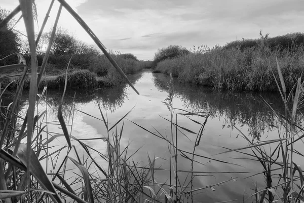 Canal Goulaine Marsh Está Forrado Con Cañas Cuyo Reflejo Dado —  Fotos de Stock