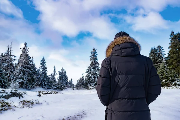 Kışın ormanda yürüyen adam