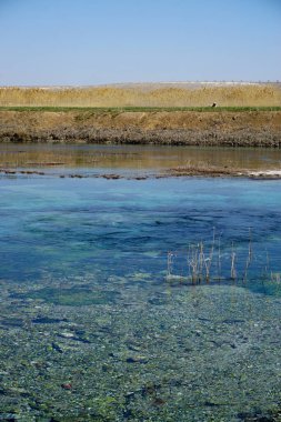 Cifteler Eskisehir 'deki Sakarbasi Karadeniz Bölgesi' ne akan Sakarya Nehri 'nin doğduğu yer.