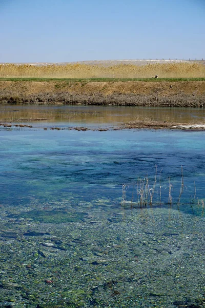 Sakarbasi Cifteler Eskisehir Türkei Der Geburtsort Des Flusses Sakarya Der — Stockfoto