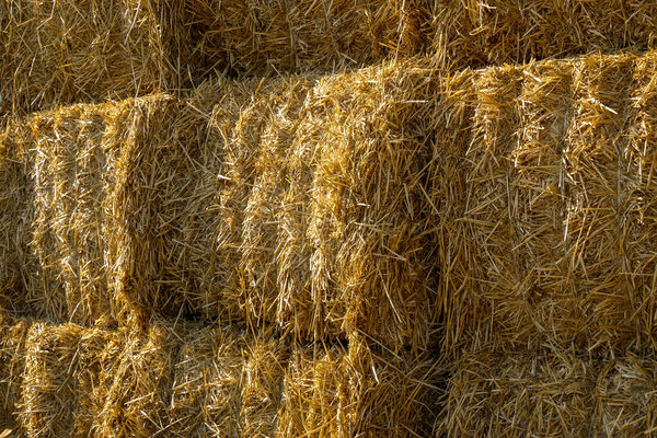 Бал сена в деревне на закате