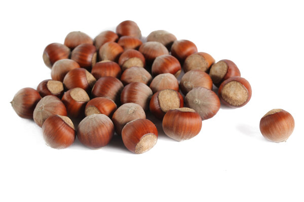 много серых лесных орехов изолированы на белом фоне
