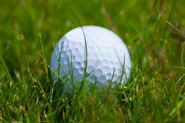 Golf ball gräs — Stockfoto