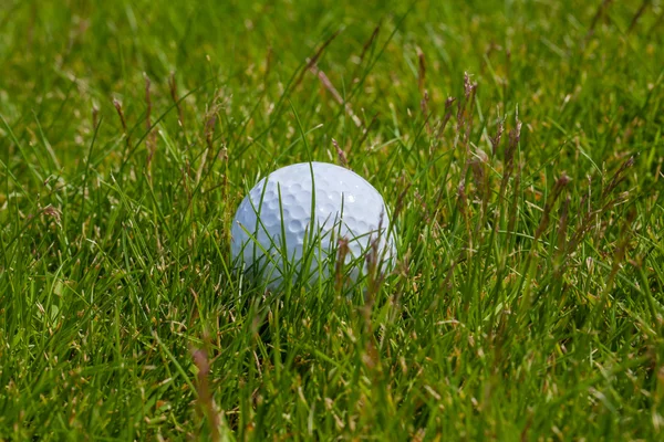 ゴルフ ボール草 — ストック写真
