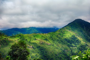 Yeşil dağların görünümü - Nepal