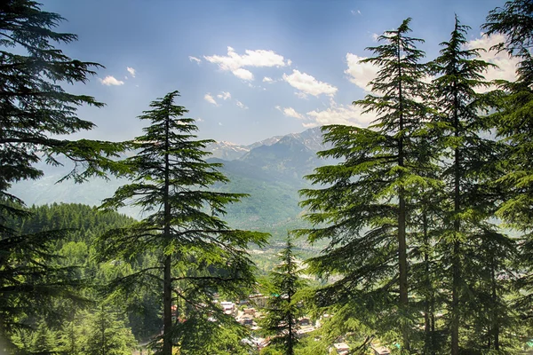 Widok na dolnej części gór himalajskich w Indiach, doliną Kullu, Himachal Pradesh — Zdjęcie stockowe