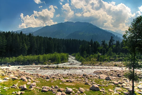 Όμορφη θέα του ποταμού βουνό το καλοκαίρι — Φωτογραφία Αρχείου